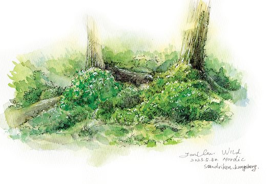 Sandriken kungsberg, Noridc